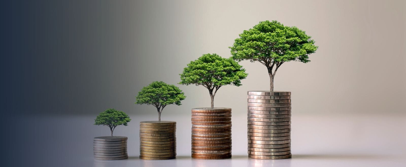 Sustainable Impact Investing